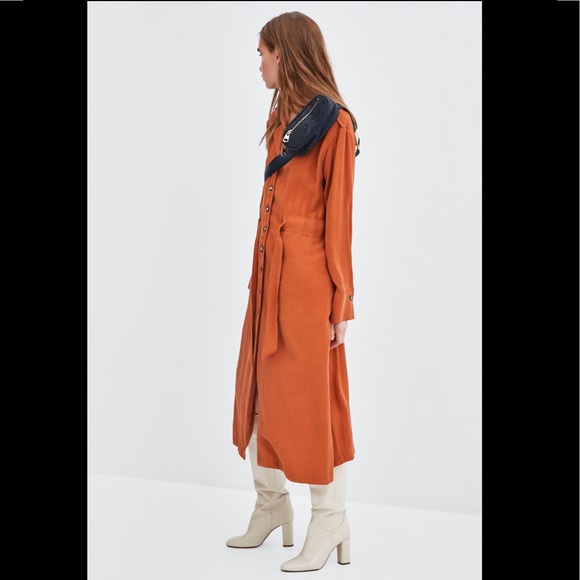 Zara Dress - Picture 6 of 12